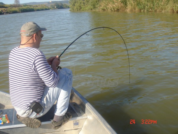 Hiszpania. Rzeka Segre, 2006 rok.