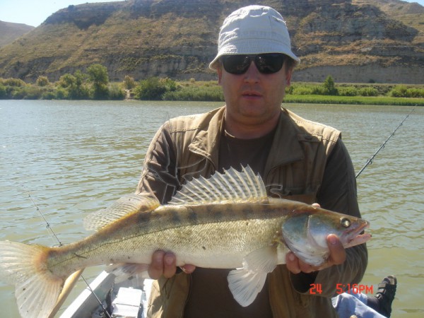 Hiszpania. Rzeka Segre, 2006 rok.