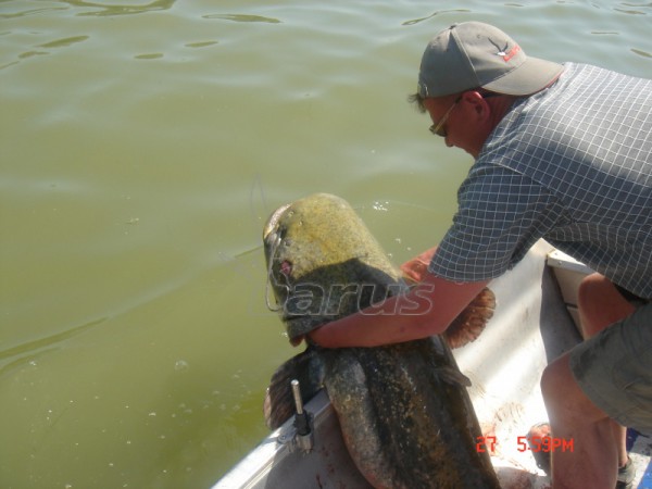 Hiszpania. Rzeka Segre, 2006 rok.
