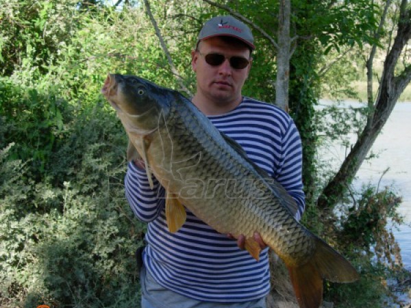 Hiszpania. Rzeka Segre, 2006 rok.