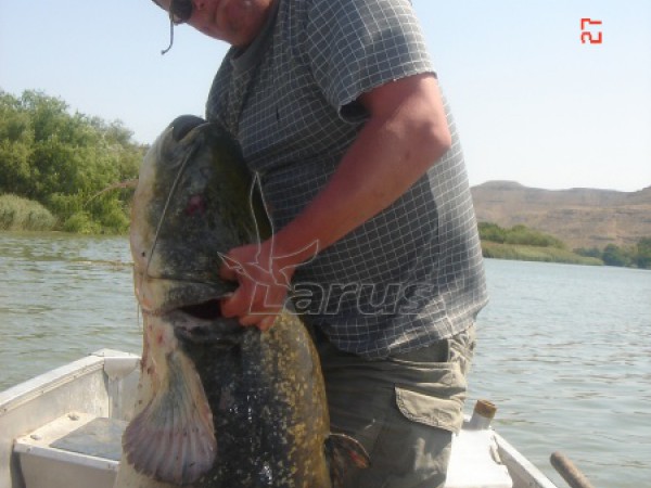 Hiszpania. Rzeka Segre, 2006 rok.