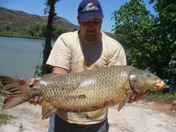 Hiszpania. Rzeka Segre, 2006 rok.