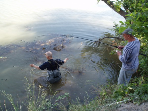 Hiszpania. Rzeka Segre, 2006 rok.