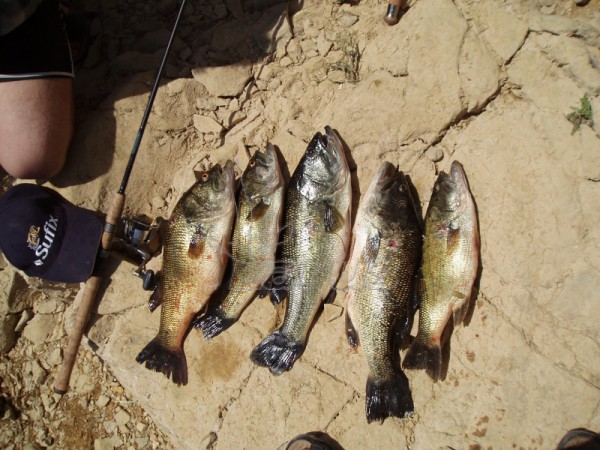 Hiszpania. Rzeka Segre, 2006 rok.