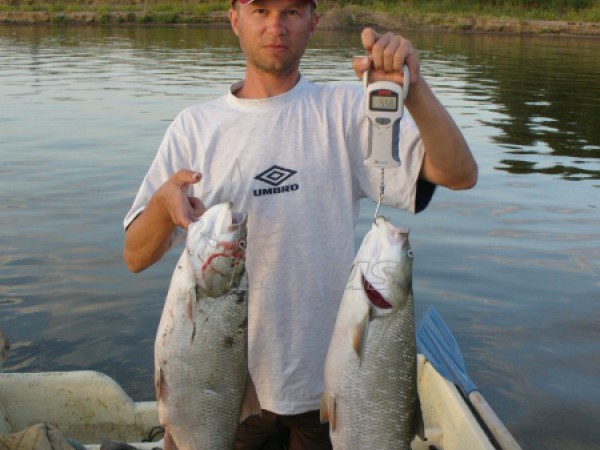 Rosja. Wołga kolo m.Astrachań.2005 r.