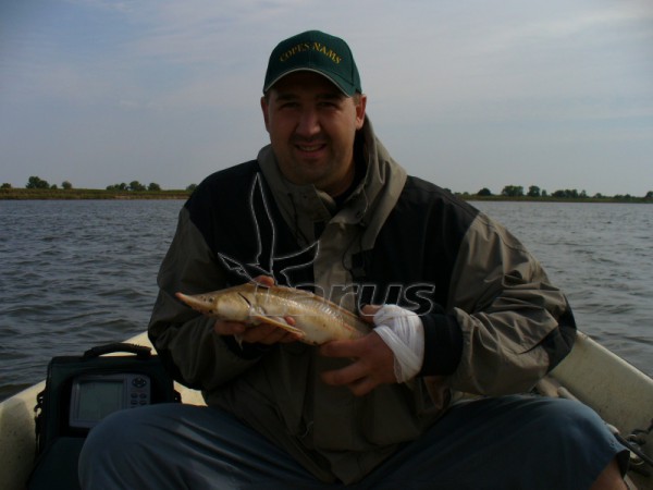 Rosja. Wołga kolo m.Astrachań.2007 r.