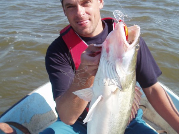 Rosja. Wołga kolo m.Astrachań.2007 r.