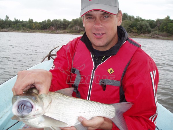 Rosja. Wołga kolo m.Astrachań.2007 r.