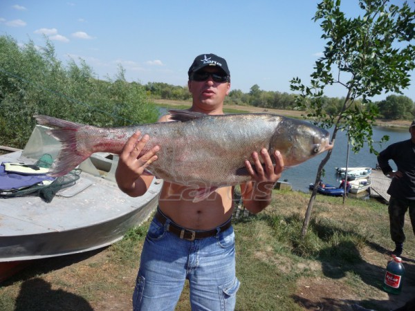 Rosja. Wołga kolo m.Astrachań.2008 r.