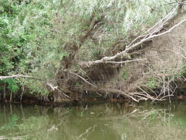 Rosja. Wołga kolo m.Astrachań.2008 r.