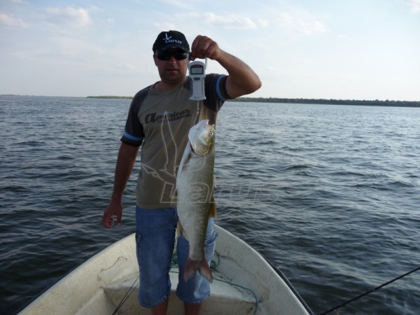 Rosja. Wołga kolo m.Astrachań.2008 r.