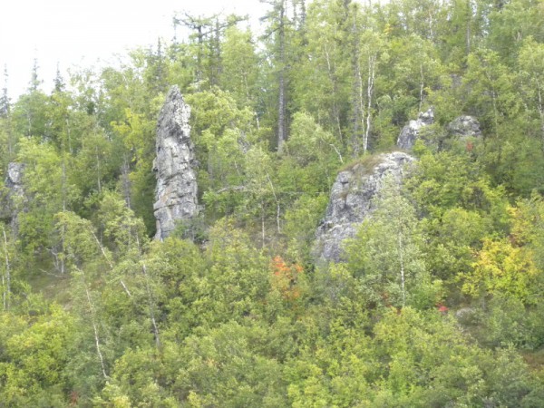 Rosja,Jamalsko-Nieniecki Okręg Autonomiczny, rzeka Lagorta; 2011r.